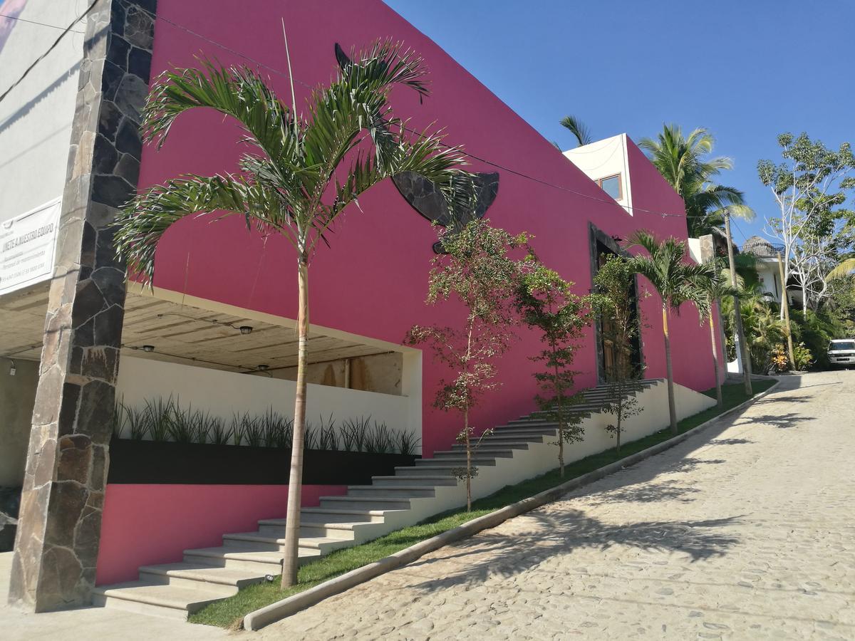 Casa De La Ballena (Adults Only) 사율리타 외부 사진
